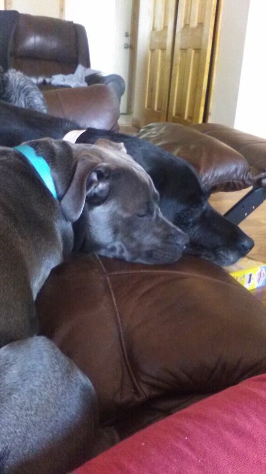 Violet Lou and Rose Marie